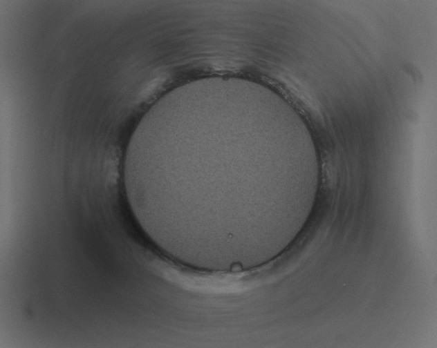 X0000116440032200912291936