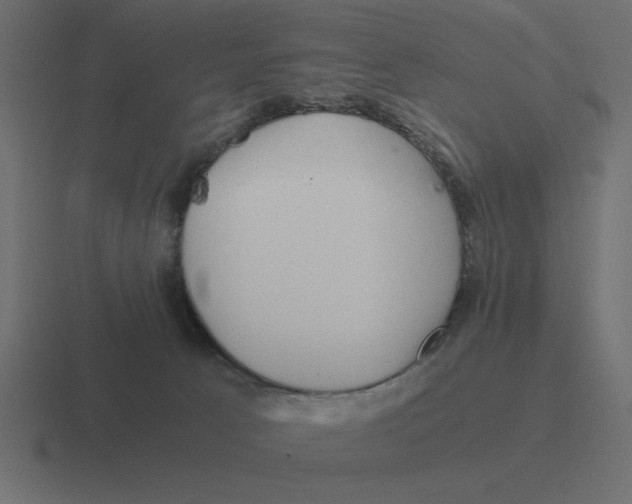 X0000116440033200912291936