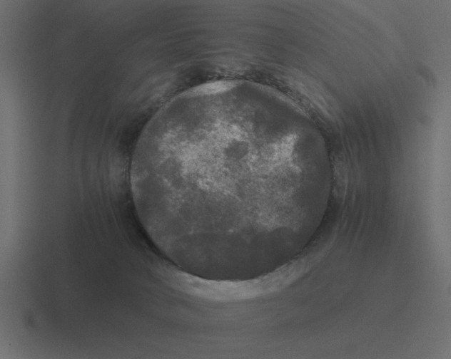 X0000116440034200912291936