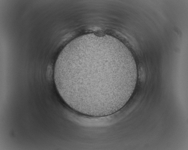 X0000116440036200912291936