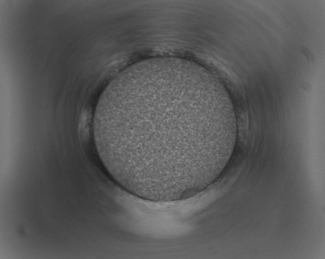 X0000116440038200912291936