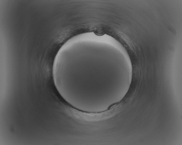 X0000116440039200912291936