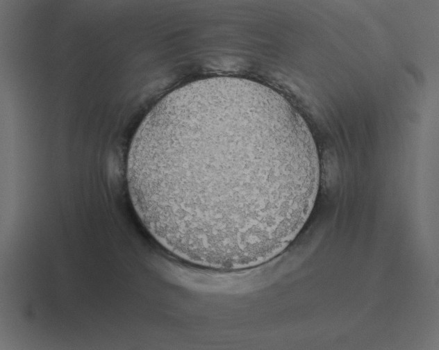 X0000116440040200912291936