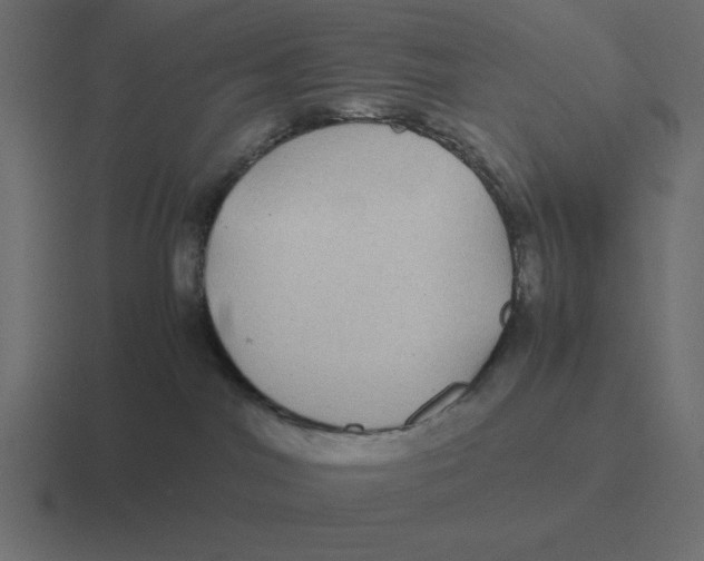 X0000116440044200912291936