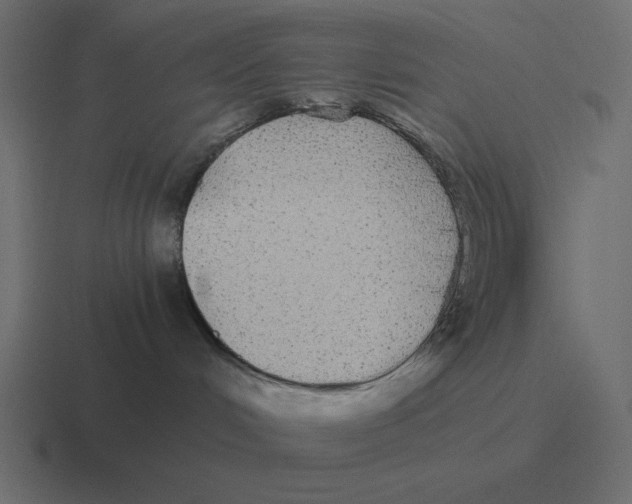 X0000116440048200912291936