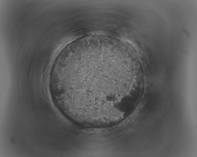 X0000116440049200912291936