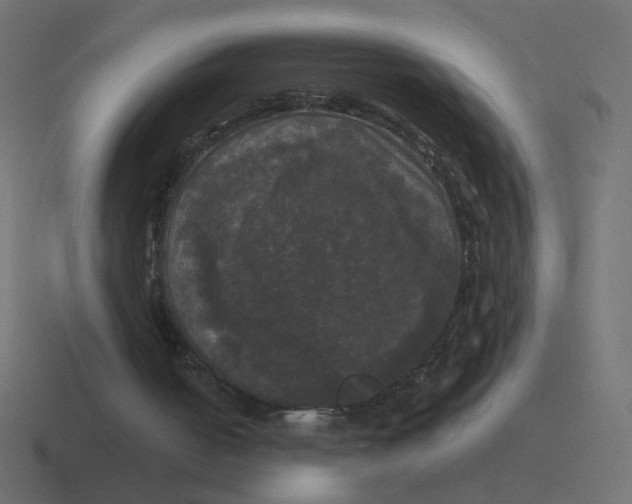 X0000116440050200912291936