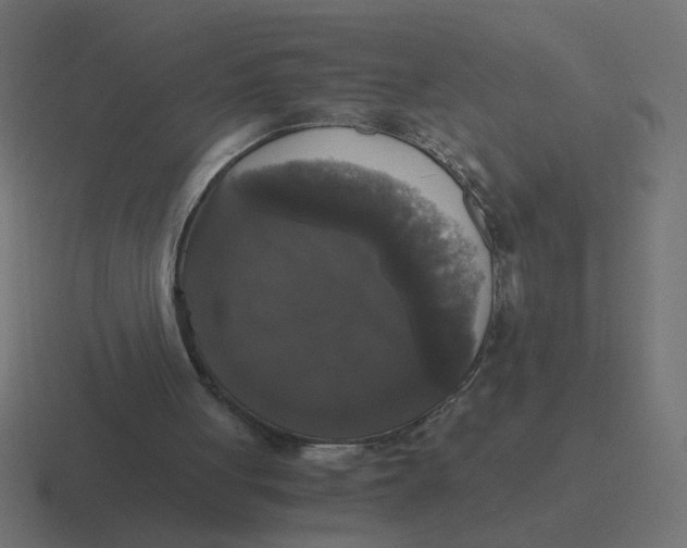 X0000116440051200912291936