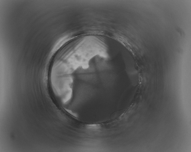 X0000116440053200912291936