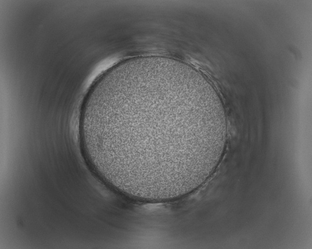 X0000116440054200912291936