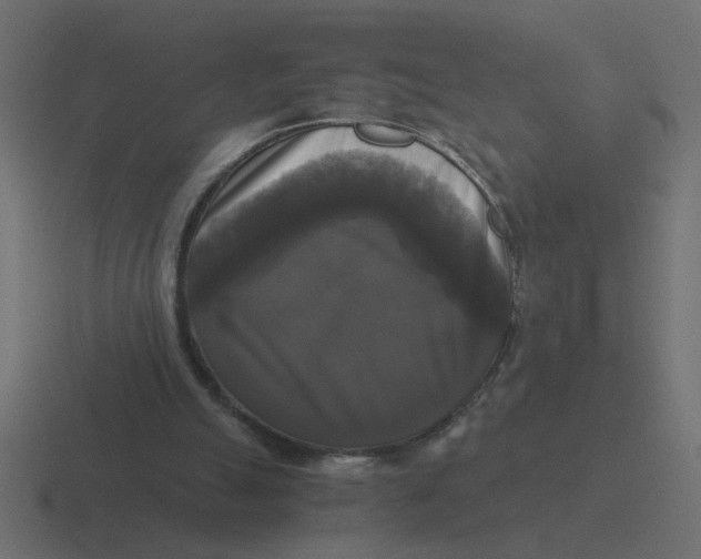 X0000116440055200912291936