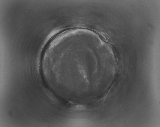 X0000116440056200912291936