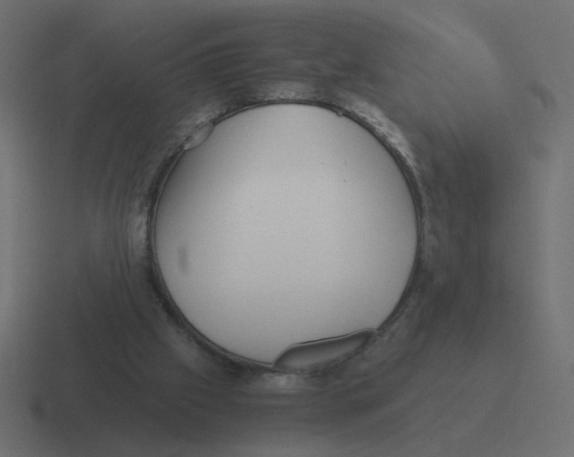 X0000116440057200912291936