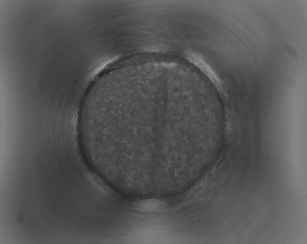 X0000116440058200912291936