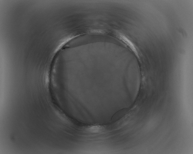 X0000116440059200912291936