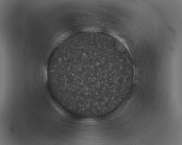 X0000116440061200912291936