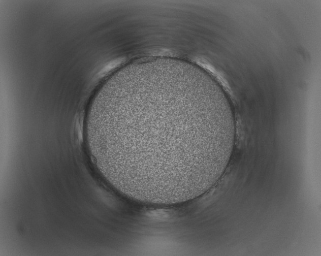 X0000116440062200912291936