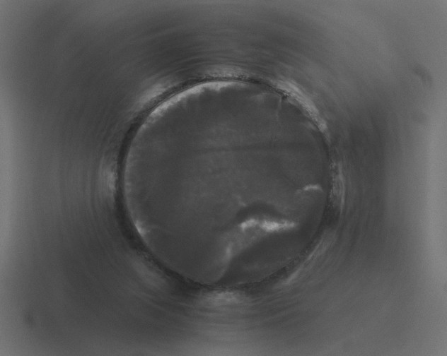 X0000116440063200912291936