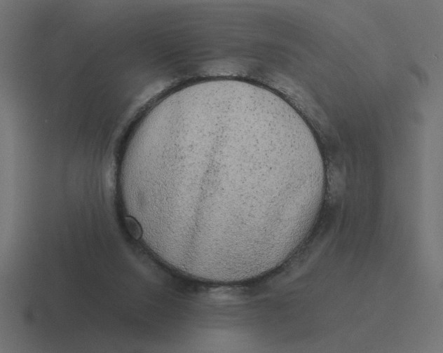 X0000116440064200912291936