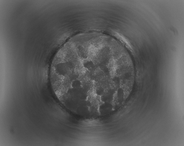 X0000116440065200912291936