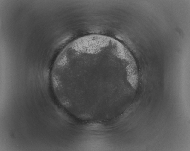 X0000116440066200912291936