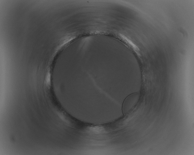 X0000116440067200912291936