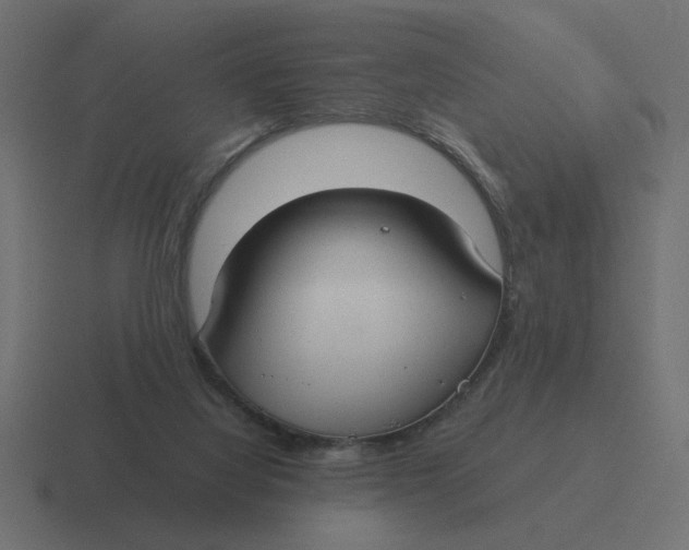 X0000116440068200912291936