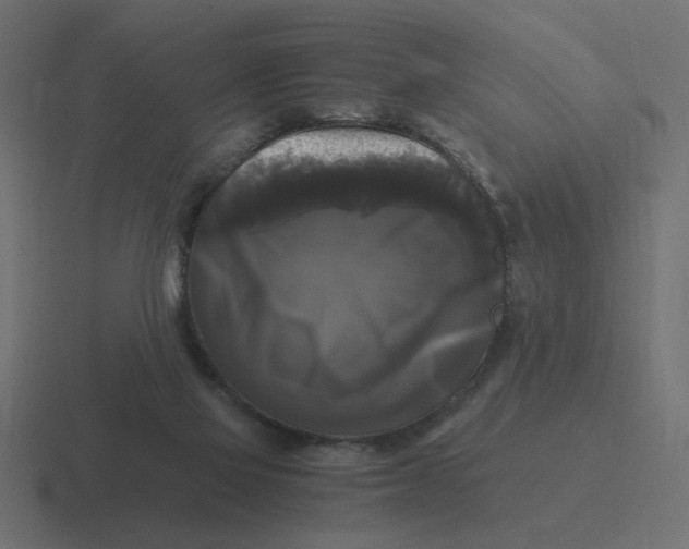 X0000116440069200912291936