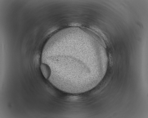 X0000116440071200912291936