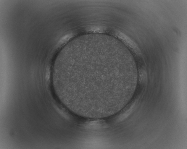 X0000116440072200912291936