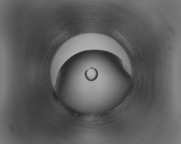 X0000116440074200912291936