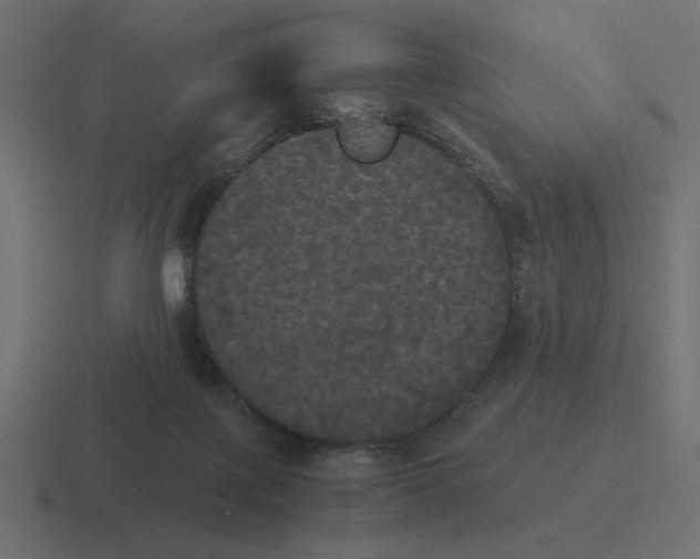 X0000116440075200912291936