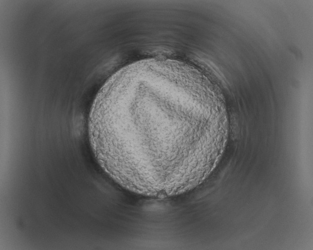 X0000116440077200912291936