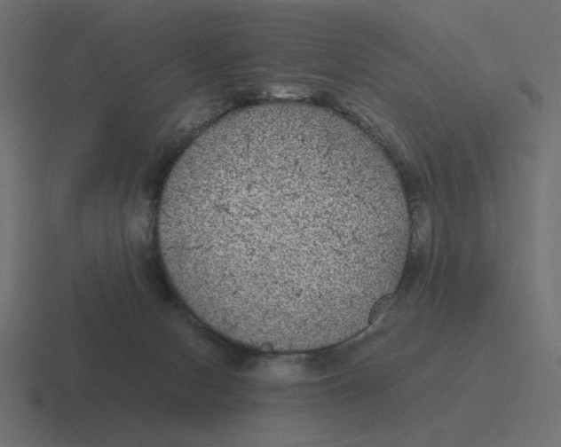 X0000116440078200912291936