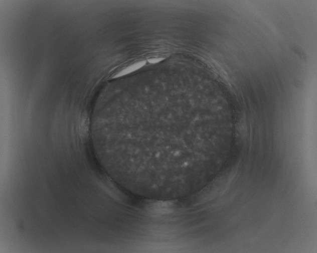 X0000116440081200912291936