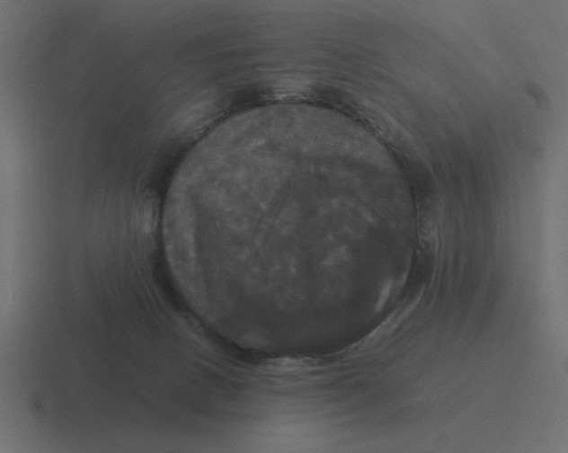 X0000116440082200912291936