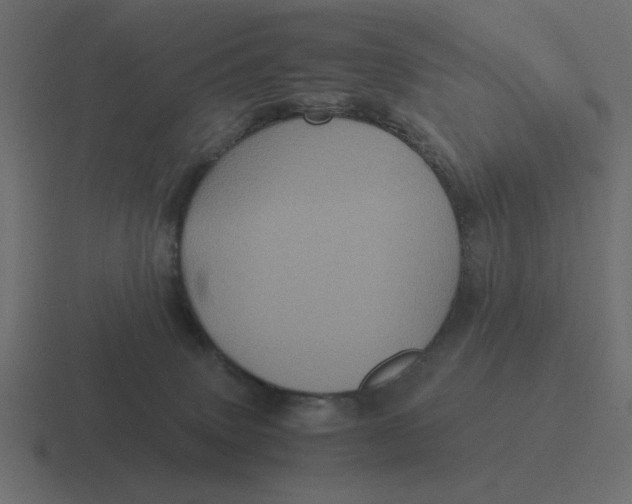 X0000116440083200912291936