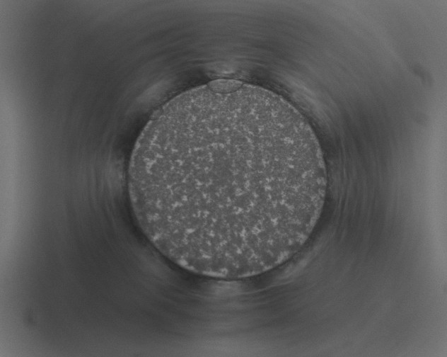 X0000116440085200912291936