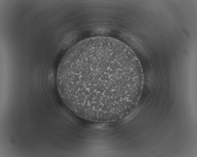 X0000116440086200912291936