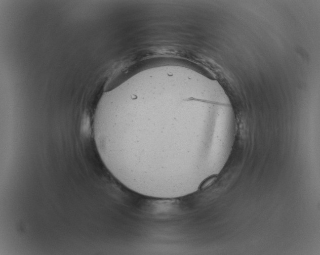 X0000116440089200912291936