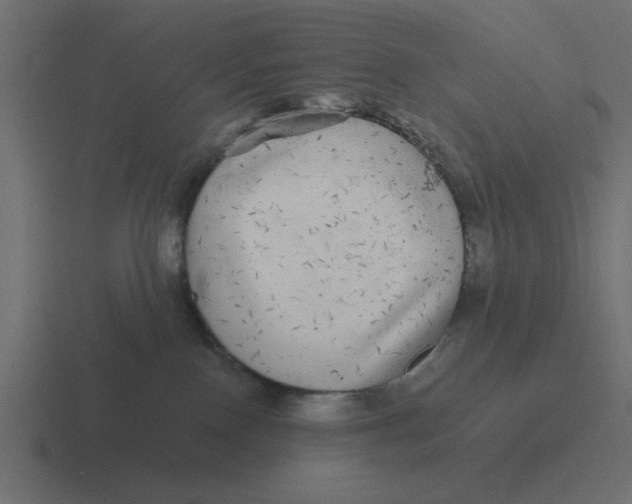 X0000116440090200912291936