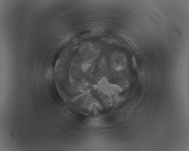 X0000116440093200912291936