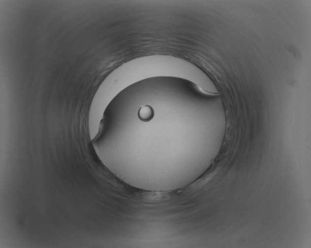 X0000116440096200912291936