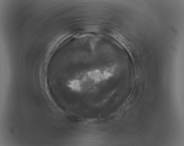 X0000116440097200912291936