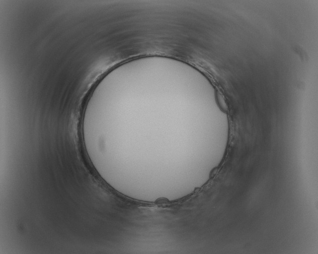 X0000116440098200912291936