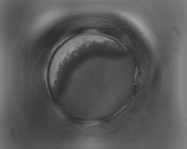 X0000116440099200912291936