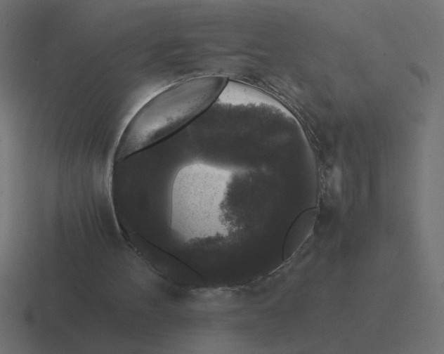 X0000116440100200912291936