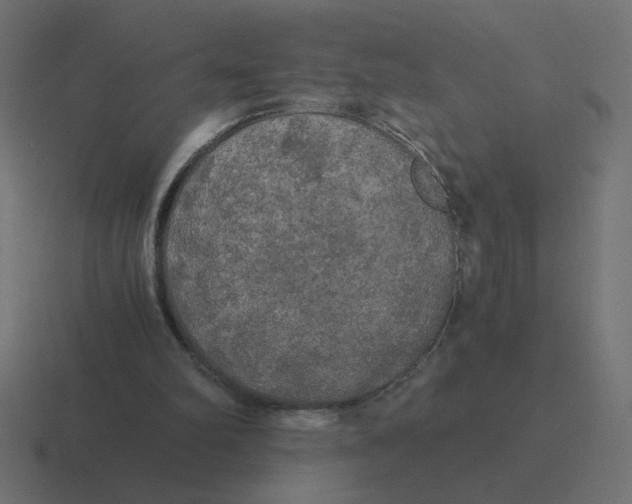 X0000116440102200912291936