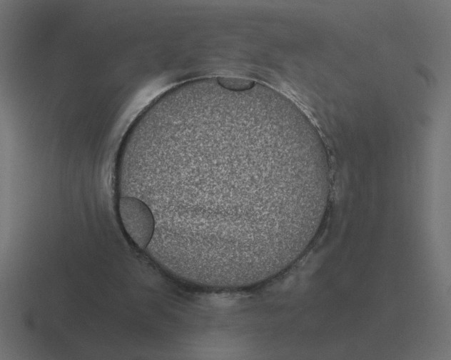 X0000116440103200912291936