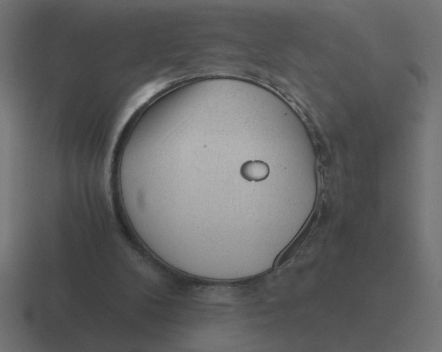 X0000116440104200912291936